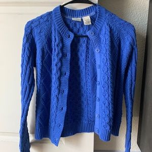 L.L. Bean- Blue Knit Sweater